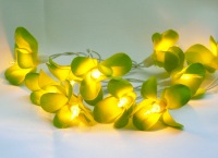 Green Frangipani Fairy Lights_sml.jpg